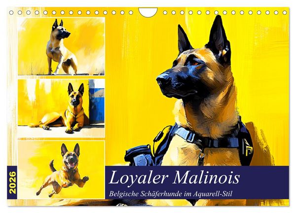 Produktbild: Loyaler Malinois. Belgische Sch&auml;ferhunde im Aquarell-Stil (Wandkalender 2026 DIN A4 quer), CALVENDO Monatskalender