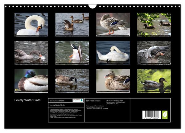 Produktbild: Lovely Water Birds (Wall Calendar 2026 DIN A3 landscape), CALVENDO 12 Month Wall Calendar