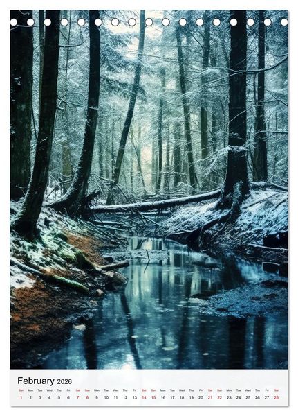 Produktbild: Dreamscapes of the Forest (Desk Calendar 2026 DIN A5 portrait), CALVENDO 12 Month DeskCalendar
