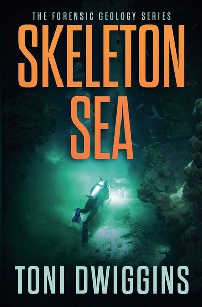 Produktbild: Skeleton Sea