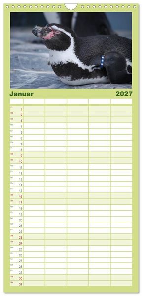 Produktbild: Familienplaner 2027 - Pinguine 2027 mit 5 Spalten (Wandkalender, 21 x 45 cm) CALVENDO