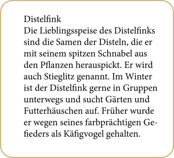 Produktbild: Sound-Adventskalender &ndash; Unsere V&ouml;gel im Winter