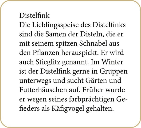 Produktbild: Sound-Adventskalender