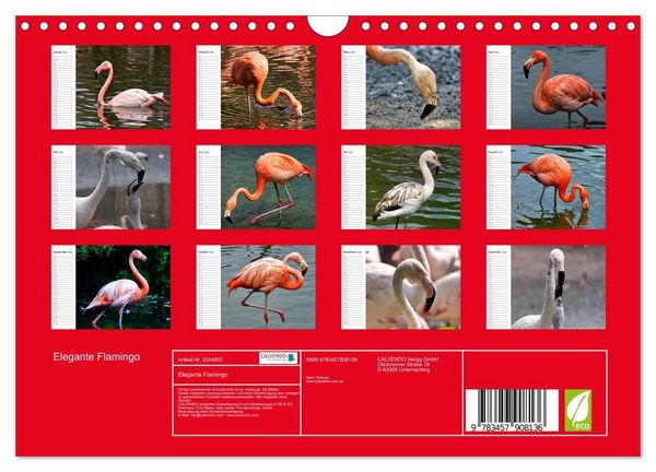Produktbild: Elegante Flamingo (Wandkalender 2026 DIN A4 quer), CALVENDO Monatskalender