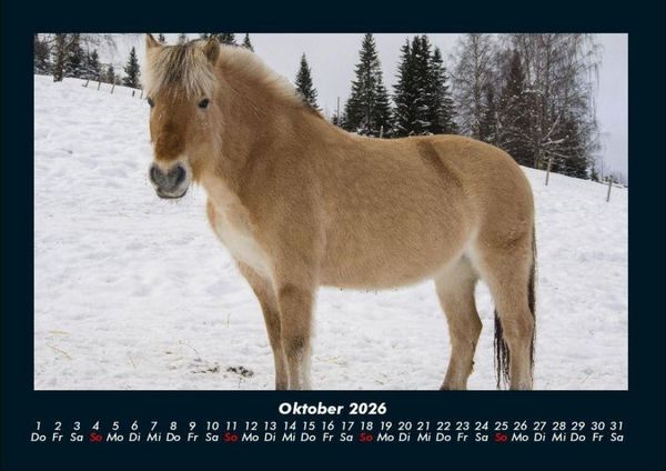 Produktbild: Die Welt der Pferde 2026 Fotokalender DIN A4