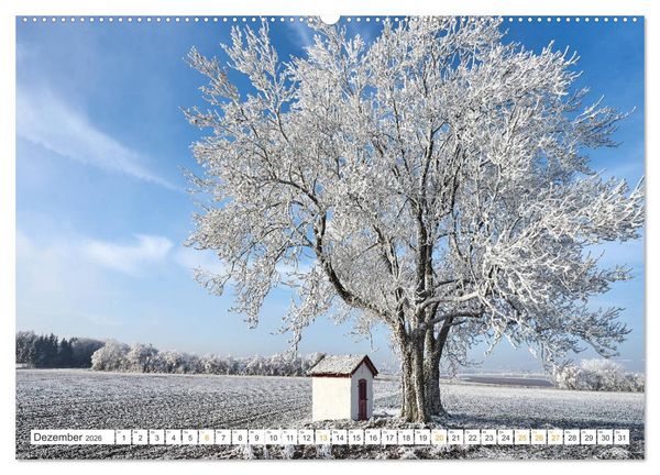 Produktbild: B&auml;ume im Altm&uuml;hltal (Wandkalender 2026 DIN A2 quer), CALVENDO Monatskalender