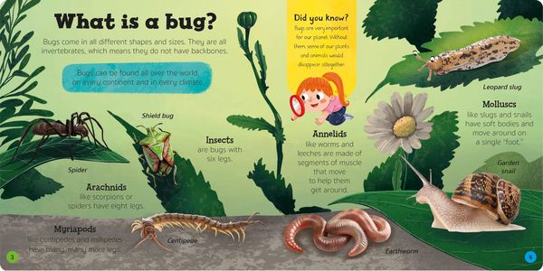 Produktbild: Priddy Explorers Bugs & Slugs