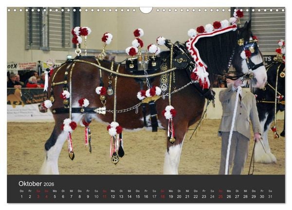 Produktbild: Shire Horse &bull; Prunkvolle Giganten (Wandkalender 2026 DIN A3 quer), CALVENDO Monatskalender