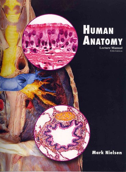 Produktbild: Human Anatomy