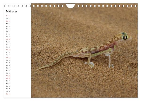 Produktbild: Namibia - Tierische Vielfalt (Planer) (Wandkalender 2026 DIN A4 quer), CALVENDO Monatskalender