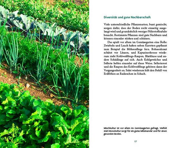 Produktbild: G&auml;rtnern im Wandel