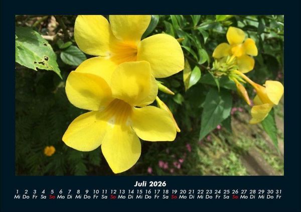 Produktbild: Blumenkalender 2026 Fotokalender DIN A4
