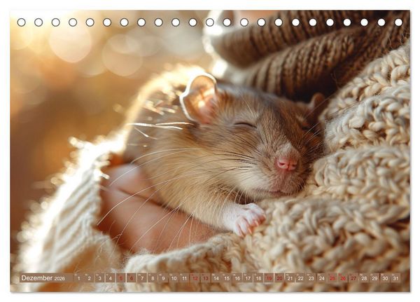 Produktbild: Mein bester Kumpel ist eine Ratte (Tischkalender 2026 DIN A5 quer), CALVENDO Monatskalender