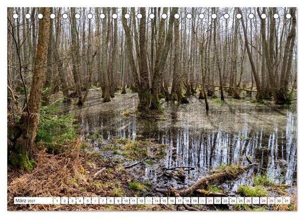 Produktbild: Mecklenburg-Vorpommern - Fischland-Dar&szlig;-Zingst (Tischkalender 2027 DIN A5 quer), CALVENDO Monatskalender