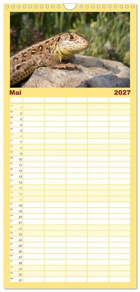 Produktbild: Familienplaner 2027 - Minisaurier im Garten mit 5 Spalten (Wandkalender, 21 x 45 cm) CALVENDO