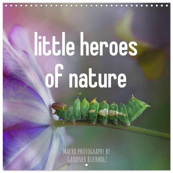 little heroes of nature (Wall Calendar 2026 12 × 12 Inch) CALVENDO 12 Month Wall Calendar