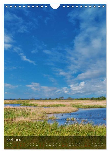 Produktbild: Wunderbare Ostseelandschaft Fischland-Dar&szlig;-Zingst (Wandkalender 2026 DIN A4 hoch), CALVENDO Monatskalender