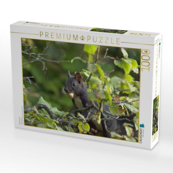 Produktbild: CALVENDO Puzzle Eichh&ouml;rnchen | 1000 Teile Lege-Gr&ouml;&szlig;e 64x48cm Foto-Puzzle f&uuml;r gl&uuml;ckliche Stunden