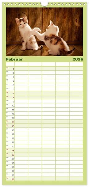 Produktbild: Familienplaner 2026 - K&auml;tzchen 2026 mit 5 Spalten (Wandkalender, 21 x 45 cm) CALVENDO