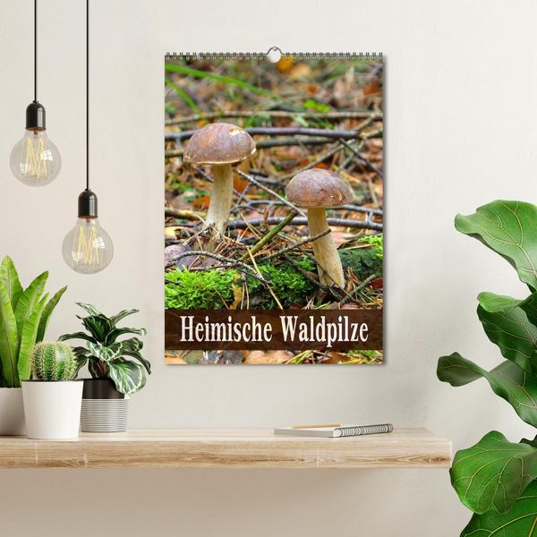 Produktbild: Heimische Waldpilze (Wandkalender 2026 DIN A3 hoch), CALVENDO Monatskalender