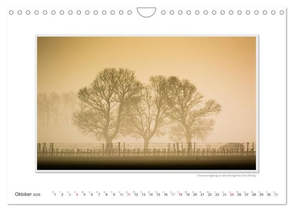 Produktbild: Neusiedler See / CH-Version (Wandkalender 2026 DIN A4 quer), CALVENDO Monatskalender