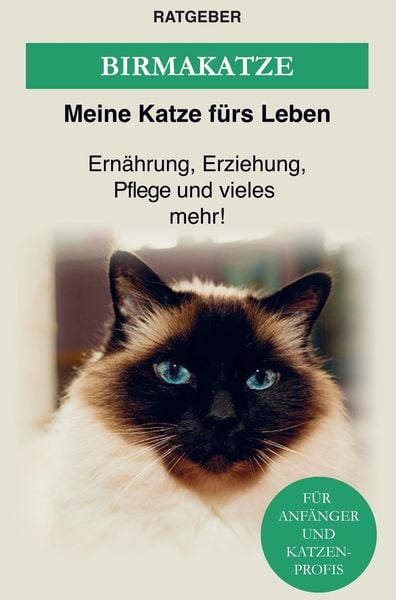 Die heilige Birma Katze, Taschenbuch von Ratgeber Meine Katze fürs Leben, Bookmundo Direct, 9789403622064