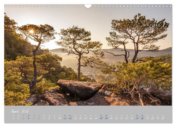 Produktbild: Ausfl&uuml;ge in der Heimat - Die Pfalz (Wandkalender 2026 DIN A3 quer), CALVENDO Monatskalender