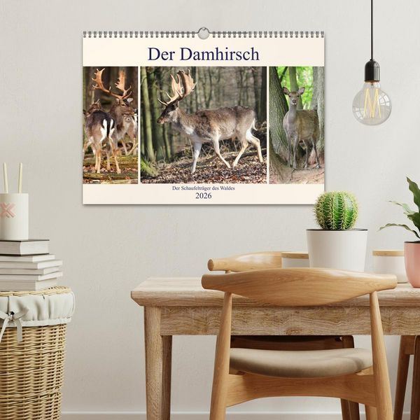 Produktbild: Der Damhirsch - Der Schaufeltr&auml;ger des Waldes (Wandkalender 2026 DIN A3 quer), CALVENDO Monatskalender
