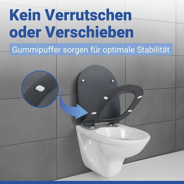 Produktbild: WC Sitz Mod. Sedilo Grau matt, Toilettendeckel in D-Form mit Absenkautomatik
