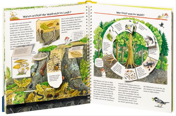 Produktbild: Wieso? Weshalb? Warum? Kernreihe (4-7 J.), Band 46 - Wir entdecken den Wald