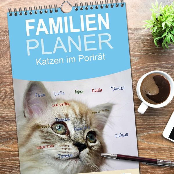 Produktbild: Familienplaner 2026 - Katzen im Portr&auml;t / Geburtstagskalender mit 5 Spalten (Wandkalender, 21 x 45 cm) CALVENDO