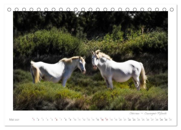 Produktbild: Sehnsucht Provence - Land des Lichts (Tischkalender 2027 DIN A5 quer), CALVENDO Monatskalender