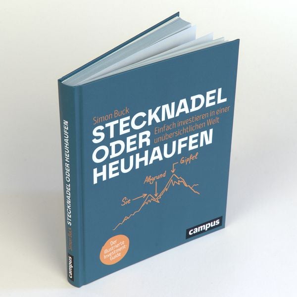 Produktbild: Stecknadel oder Heuhaufen