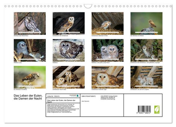Produktbild: Das Leben der Eulen, die Damen der Nacht (Wandkalender 2026 DIN A3 quer), CALVENDO Monatskalender