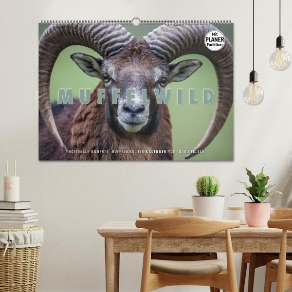 Produktbild: Emotionale Momente: Muffelwild. (Wandkalender 2026 DIN A2 quer), CALVENDO Monatskalender