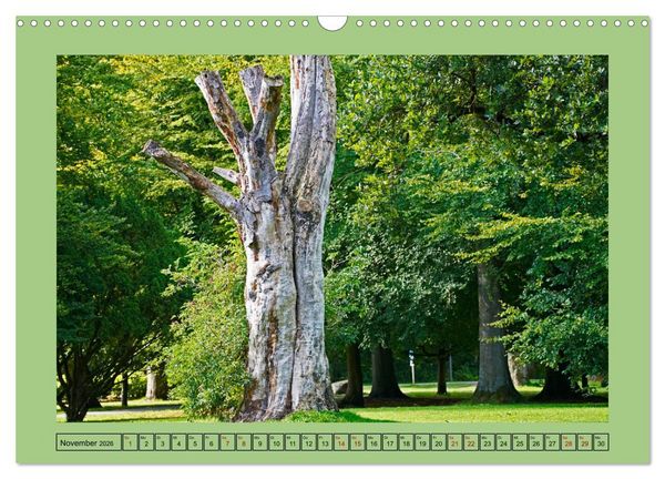 Produktbild: Faszination Stadtpark Odense (Wandkalender 2026 DIN A3 quer), CALVENDO Monatskalender
