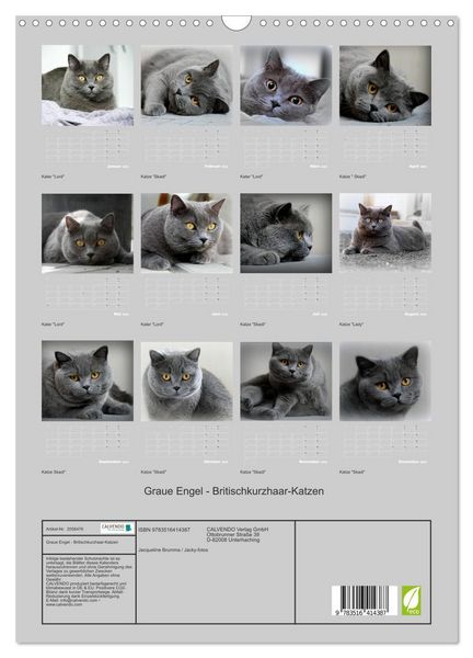 Produktbild: Graue Engel - Britischkurzhaar-Katzen (Wandkalender 2026 DIN A3 hoch), CALVENDO Monatskalender