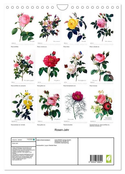 Produktbild: Rosen-Jahr (Wandkalender 2026 DIN A4 hoch), CALVENDO Monatskalender