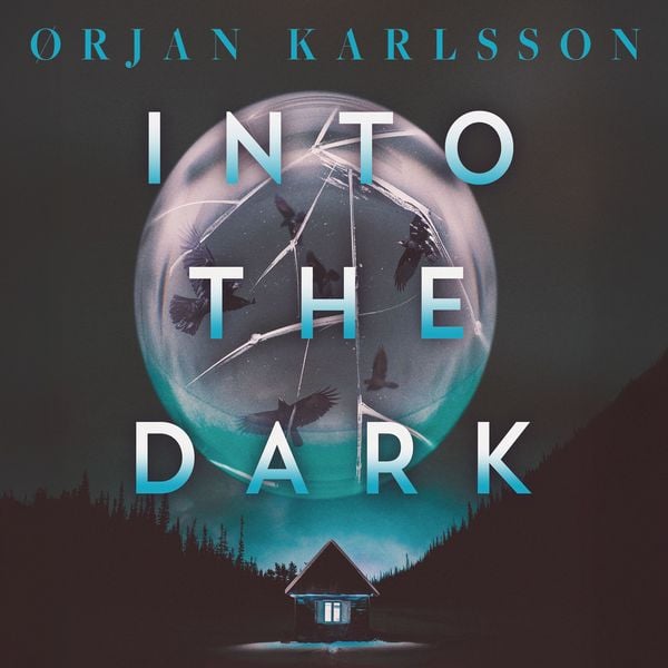 Produktbild: Into the Dark