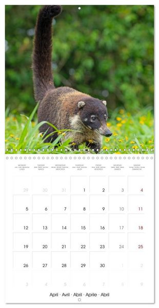 Produktbild: Costa Rica wild and peaceful (Wall Calendar 2027 12 &times; 12 Inch) CALVENDO 12 Month Wall Calendar
