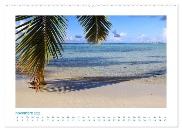Produktbild: Polyn&eacute;sie fran&ccedil;aise - des &icirc;les de r&ecirc;ve dans le Pacifique Sud (Calendrier mural 2026 DIN A2 vertical) calendrier de bureau