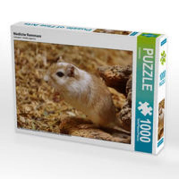 CALVENDO Puzzle Niedliche Rennmaus | 1000 Teile Lege-Größe 64x48cm Foto-Puzzle für glückliche Stunden