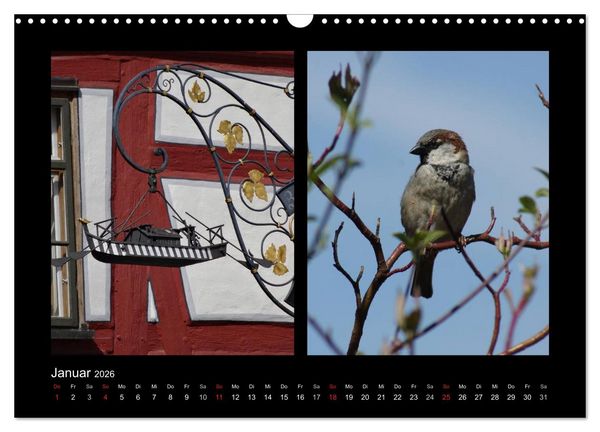 Produktbild: Ulmer Spatzen (Wandkalender 2026 DIN A3 quer), CALVENDO Monatskalender