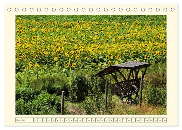Produktbild: Mein sch&ouml;nes Land - Landliebe Wetterau (Tischkalender 2026 DIN A5 quer), CALVENDO Monatskalender