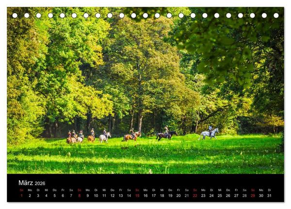 Produktbild: Mannheimer Waldpark (Tischkalender 2026 DIN A5 quer), CALVENDO Monatskalender