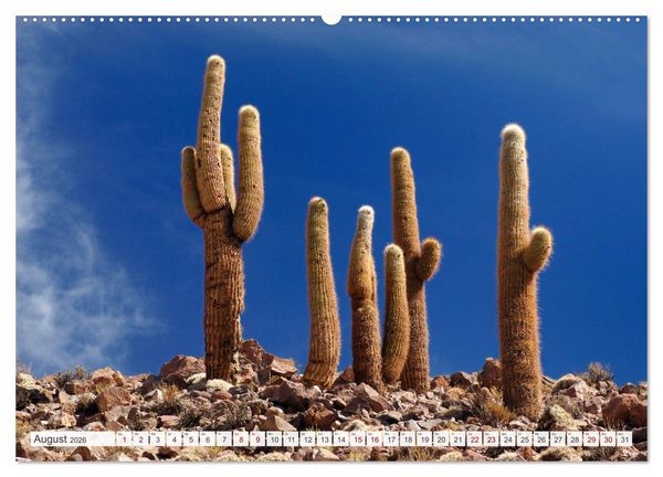 Produktbild: Magie dieses S&uuml;damerikanischen Landes, Chile (Wandkalender 2026 DIN A2 quer), CALVENDO Monatskalender