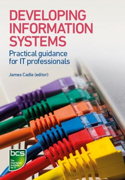 Produktbild: Developing Information Systems