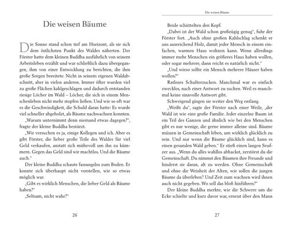 Der kleine Buddha und das Wunder der Zeit