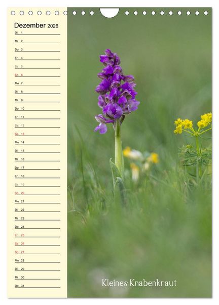 Produktbild: Wildwachsende Orchideen in Bayern (Wandkalender 2026 DIN A4 hoch), CALVENDO Monatskalender