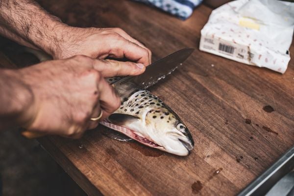 Fisch gegrillt